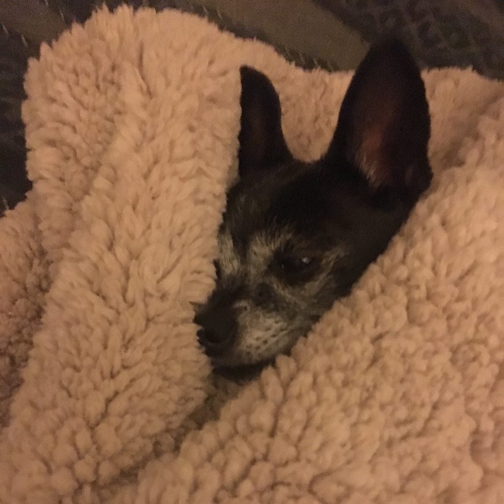 Meet your Posher, Vicky